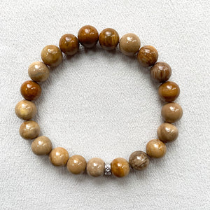 Petrified wood bracelets